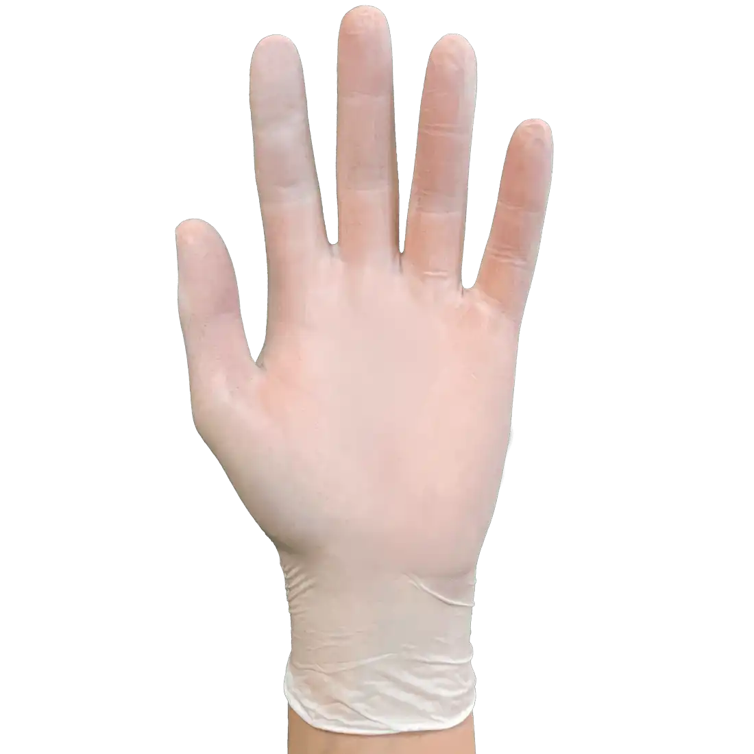 DAILY GLOVES Disposable Gloves - Non-Powdered - Smooth Finish - Stretch Vinyl - Image 1